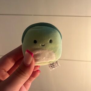 Turtle squish Ville